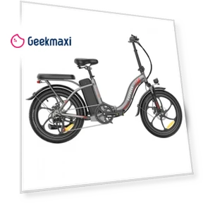 Foldable Electric Bike — Electric Self-Balancing Scooters, Fafrees