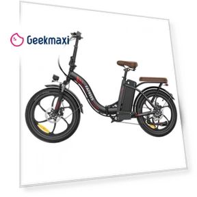 Foldable Electric Bike — Electric Self-Balancing Scooters, Fafrees