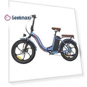 Foldable Electric Bike — Electric Self-Balancing Scooters, Fafrees