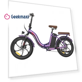 Foldable Electric Bike — Electric Self-Balancing Scooters, Fafrees