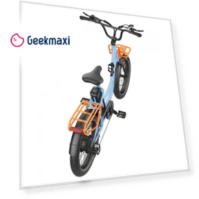 Electric Bike — Electric Self-Balancing Scooters, Hidoes