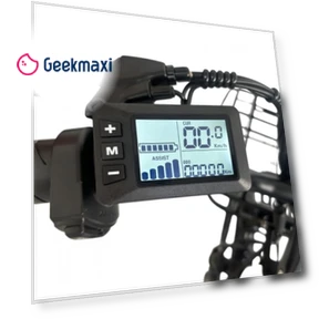 Electric Bike — Electric Self-Balancing Scooters, Orlms