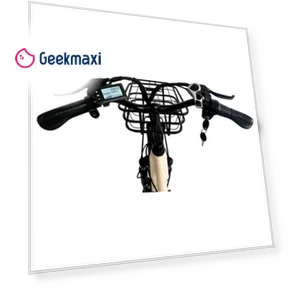 Electric Bike — Electric Self-Balancing Scooters, Orlms