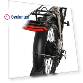 Electric Bike — Electric Self-Balancing Scooters, Orlms