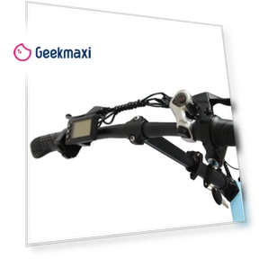 Electric Bike — Electric Vehicles, Orlms
