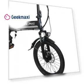 Electric Bike — Electric Self-Balancing Scooters, Orlms
