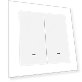 Smart Switch Double — Smart Home Modules, MOES