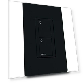 Smart Switch — Ceiling Fan Wall Controls, Lutron