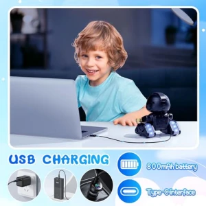 RC Robot with Gesture Sensing & LED Eyes, Shantou Globalwin Intelligent Technology Co.,Ltd.