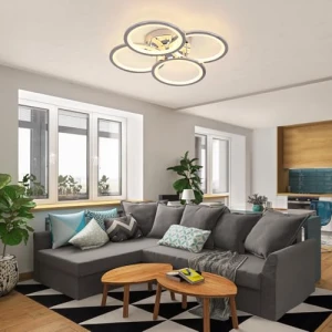 Modern LED Ceiling Lights, EIDISUNY