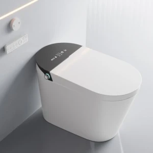 Tankless Elongated Toilet, MIJIC