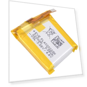 Battery Replacement — Smartwatches, HUAMI