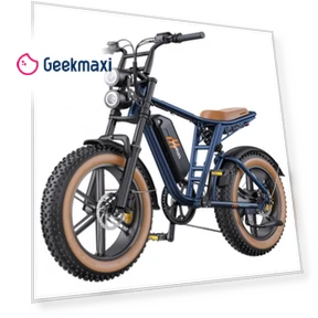 Electric Bike MileZoom 1 — Electric Vehicles, HillMiles