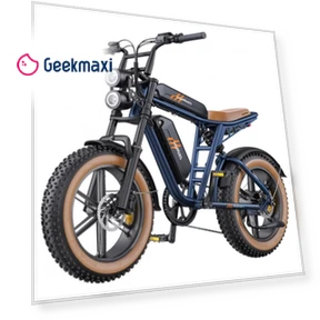 Electric Bike — Electric Vehicles, HillMiles