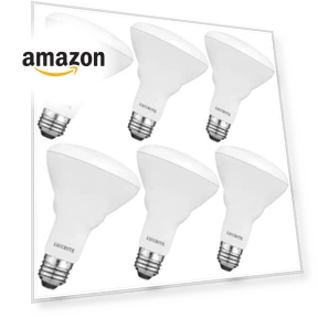 6-Pack BR30 LED Bulb — Compact Fluorescent, LUXRITE
