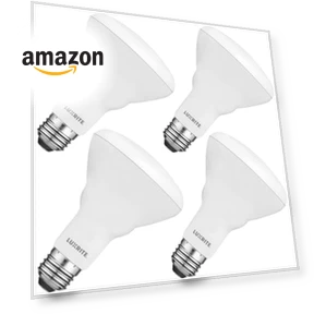 BR30 LED Bulb 4-Pack — Compact Fluorescent, LUXRITE
