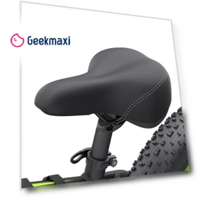Electric Bike — Electric Self-Balancing Scooters, GOGOBEST