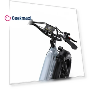 Electric Bike — Electric Self-Balancing Scooters, Onesport