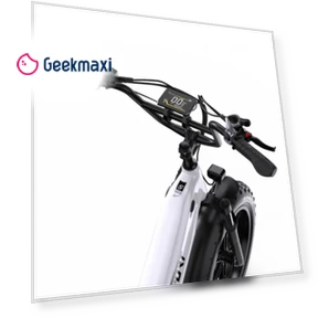 Electric Bike — Electric Self-Balancing Scooters, Onesport