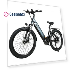 Electric Bike — Electric Self-Balancing Scooters, CMACEWHEEL