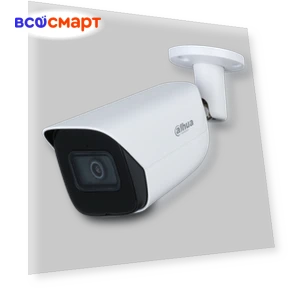 Outdoor IP Camera — Outdoor Security Cameras, Dahua