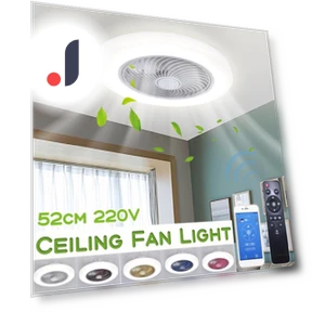 Smart Ceiling Fan with Light — Ceiling Fans, Crown Global