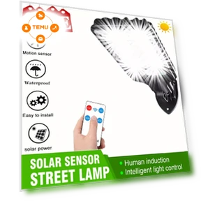 Solar Street Light with Remote Control — Outdoor Security & Flood Lighting