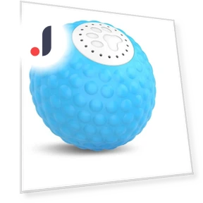 Smart Ball for Dogs — Balls, Dongfang HOME A