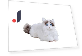 Fave Kimit Ragdoll Pet Robot Cat — Interactive Animal Companions, Select Items Norisuke