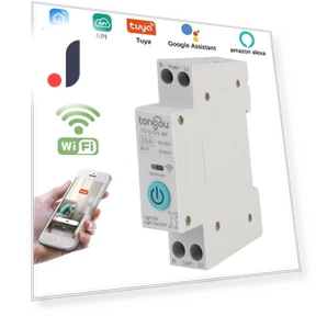Home Voice Control Smart Switch — Smart Home Hubs & Controllers, DC-HOME