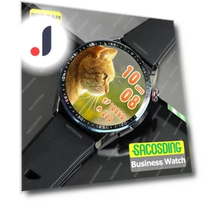 Smart Watch with Local Music Storage — Smartwatches, Tiktop2