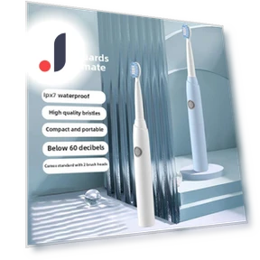 Electric Toothbrush — Oral Hygiene, Binchi Health Technology