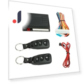 Keyless Access Controller — Accessories, Baby cheetah