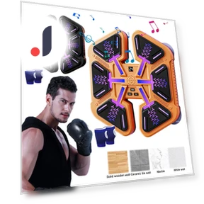 Smart Musical Boxing Trainer — Boxing Training Gear, HOME-Auto-001