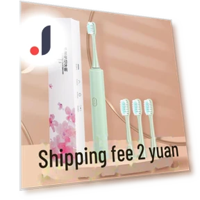 Electric Sonic Toothbrush — Kids' Electric Toothbrushes, StrideBox
