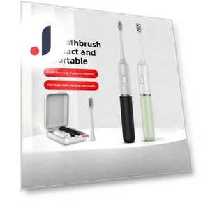 Electric Toothbrush with Automatic Charging — Traditional Toothbrushes, Binchi Health Technology
