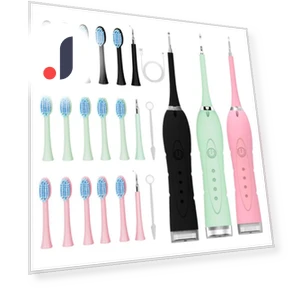 Waterproof Electric Toothbrush with 5 Brush Heads — Chargers, VITA Dogdog Smartwear