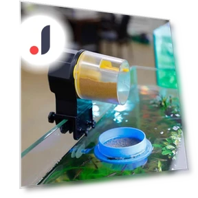 Automatic Fish Feeder — Feeders, HOME-Auto-001