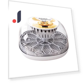 Automatic Egg Incubator with 360° Transparent Window — Egg Cookers, Challenge