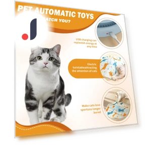 Interactive Cat Toy — Cat Playthings, Challenge