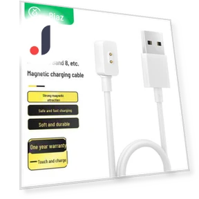 Magnetic Fast Charger — Chargers, Biaze Official