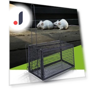 Smart Self-Locking Mousetrap — Traps, Lansoon Literary Girls-064