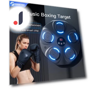 Smart Music Boxing Trainer — Boxing Training Gear, Booster boluojun