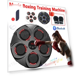 Smart Musical Boxing Machine — Boxing Training Gear, Binchi Keji Travel