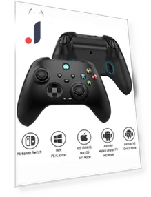 Wireless Gaming Controller — Gamepads & Standard Controllers, VILCORN