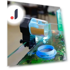 Automatic Aquarium Feeder — Feeders, BC Pet Supplies