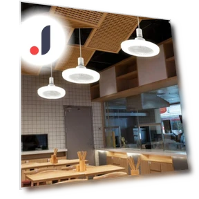 Ceiling Fan with Light — Ceiling Fan Lighting Solutions, Worry free storage