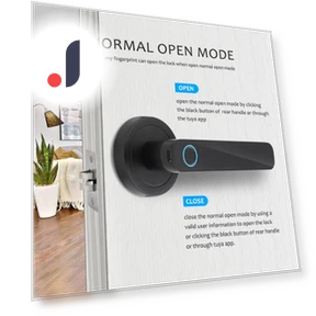 Smart Door Lock with Fingerprint — Biometric Security, TOMTOP JMS