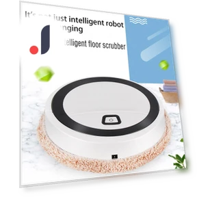 Smart Sweeping Robot — Smart Cleaning Robots, Constantine