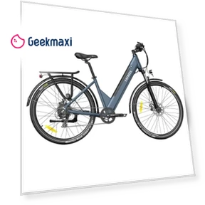 Step-through City Electric Bike — Electric Self-Balancing Scooters, Fafrees
